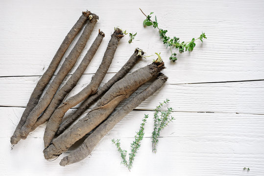 tuberi di scorzanera