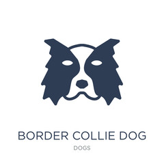 Border Collie dog icon. Trendy flat vector Border Collie dog icon on white background from dogs collection