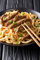 Delicious teriyaki beef with udon noodles, carrots and green onions close-up on a plate. vertical