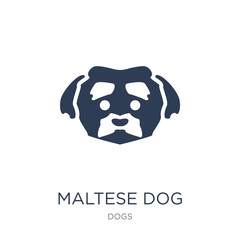 Maltese dog icon. Trendy flat vector Maltese dog icon on white background from dogs collection