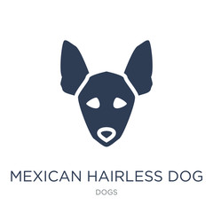 Mexican Hairless Dog dog icon. Trendy flat vector Mexican Hairless Dog dog icon on white background from dogs collection