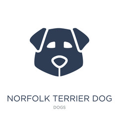 Norfolk Terrier dog icon. Trendy flat vector Norfolk Terrier dog icon on white background from dogs collection