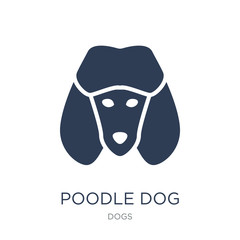 Poodle dog icon. Trendy flat vector Poodle dog icon on white background from dogs collection