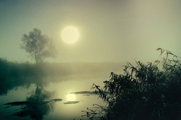 Fototapeta premium Dramatic mystical twilight landscape with rising sun, tree, reed and fog over water.