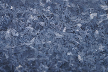 Ice crystals on the window in the morning.