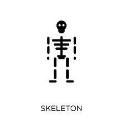 Skeleton icon. Skeleton symbol design from Museum collection.