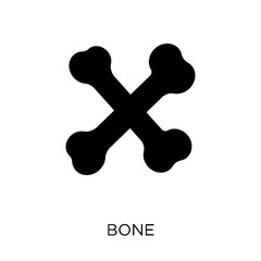 Bone icon. Bone symbol design from Museum collection.