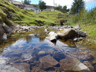 River in countryside