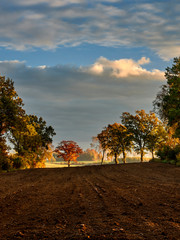 Fototapeta premium Autumnal fields, Poland around the town of Elblag