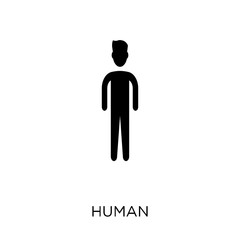 Human icon. Human symbol design from Political collection.