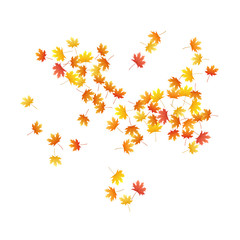 Maple leaves vector background, autumn foliage on white graphic design.