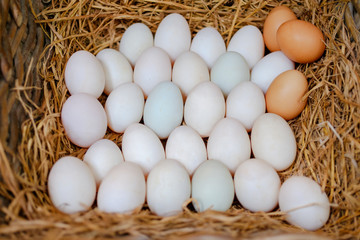 Close up of eggs in a straw basket