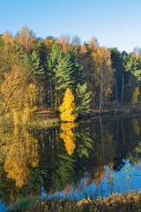 Obraz premium Autumn landscape with colorful forest. Colorful foliage over the lake with beautiful forests in red and yellow colors. Autumn forest is reflected in the water. vertical