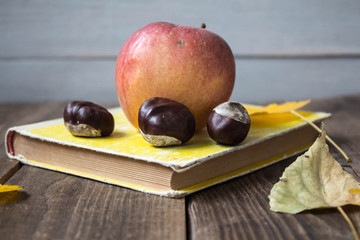 book apple yellow leaves chestnut on wooden background