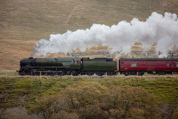 Obraz na płótnie Canvas steam train approaching ribblehead viaduct