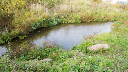 a small river in green grass