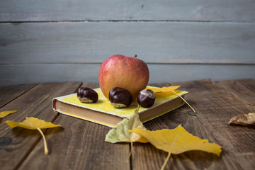 a book apple yellow leaves chestnut on wooden background