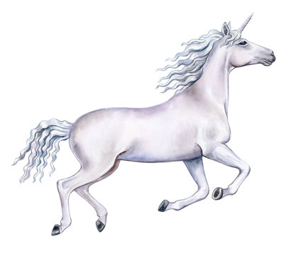 White running unicorn isolated on white background. Horse in motion. White Horse on the run. Watercolor. Illustration. Template. Clipart. Template. Hand drawing. Close-up