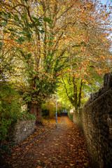 Naklejka premium Pathway in Frome, in autumn, covered in falllen leaves