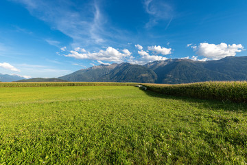 Fototapeta premium Austrian Alps with Corn Fields and Meadows