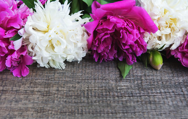 beautiful pink and white peony flowers