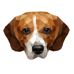 Face Beagle illustration of a dog. triangle low polygon style. 