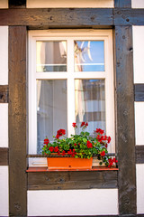Window with pretty flowers at a frame house