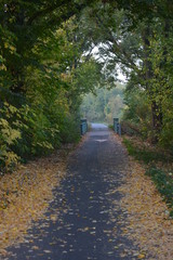 Fototapeta premium Pfad Herbst einsam