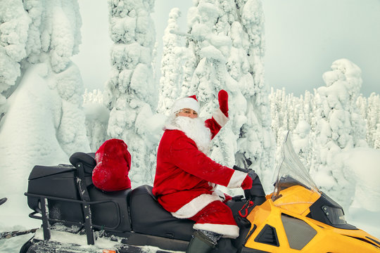 Authentic Santa Claus is riding a snowmobile through the winter forest.