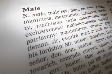 Fototapeta premium CLOSE UP OF DICTIONARY PAGE SHOWING DEFINITION OF THE WORD MALE