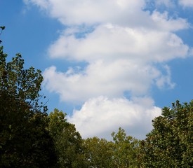 The stack of white clouds in the sky over the trees.