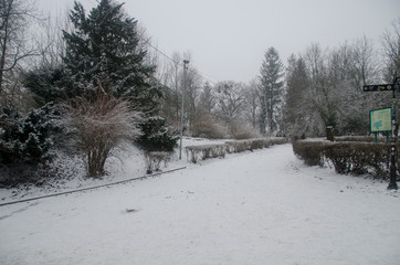 Winter in Lviv