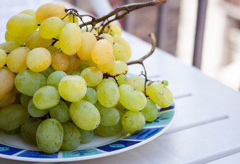 Ripe green grapes on the white plate from fruit market of Catania, Sicily, Italy