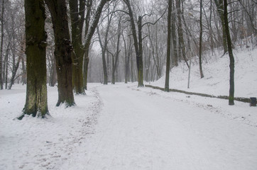 Winter in Lviv