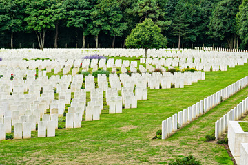 Fototapeta na wymiar Military cemetery. France.