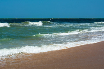 Blue ocean with waves and one seagull under the blue sky