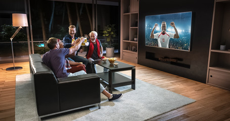 Group of fans are watching a soccer moment on the TV and celebrating a goal, sitting on the couch in the living room.