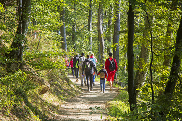 Group of people walking by hiking trail in forest - obrazy, fototapety, plakaty