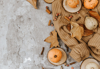 Flat lay composition fall season, Wool sweater with pumpkins dry leaves,  cozy autumn  image