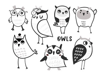 Hand drawn various cute owls. Graphic vector set. All elements are isolated 