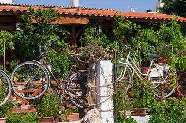 Fototapeta na wymiar Old-fashioned retro bikes decorating the green garden in Heraklion (Greece)