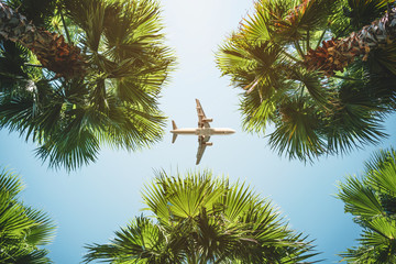 airplane flight. tropical vacations. © tarasov_vl