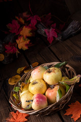 fresh and tasty organic apples in a basket