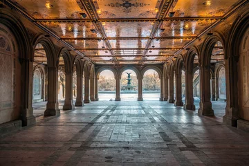 Peel and stick wallpaper Central Park Bethesda Terrace Central Park