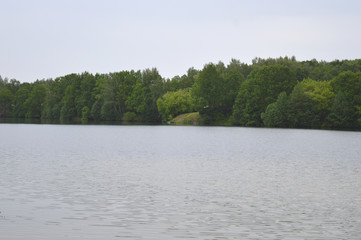 lake in forest