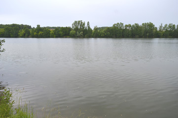 lake in forest