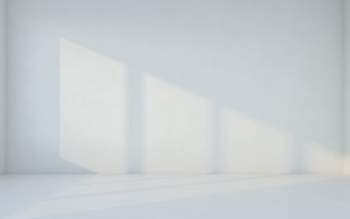Abstract white room. Blank room with wall. 3d rendering