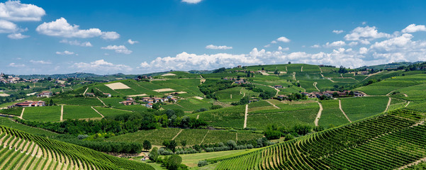 Vineyards near Barbaresco, Cuneo, in Langhe
