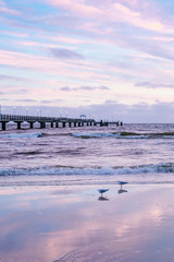 Fototapeta premium Kurz vor Sonnenaufgang am Ahlbecker Strand mit Seebrücke 