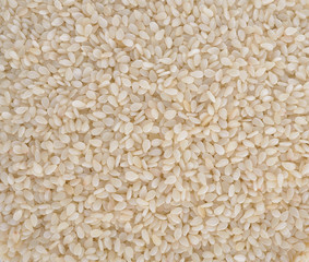 White sesame